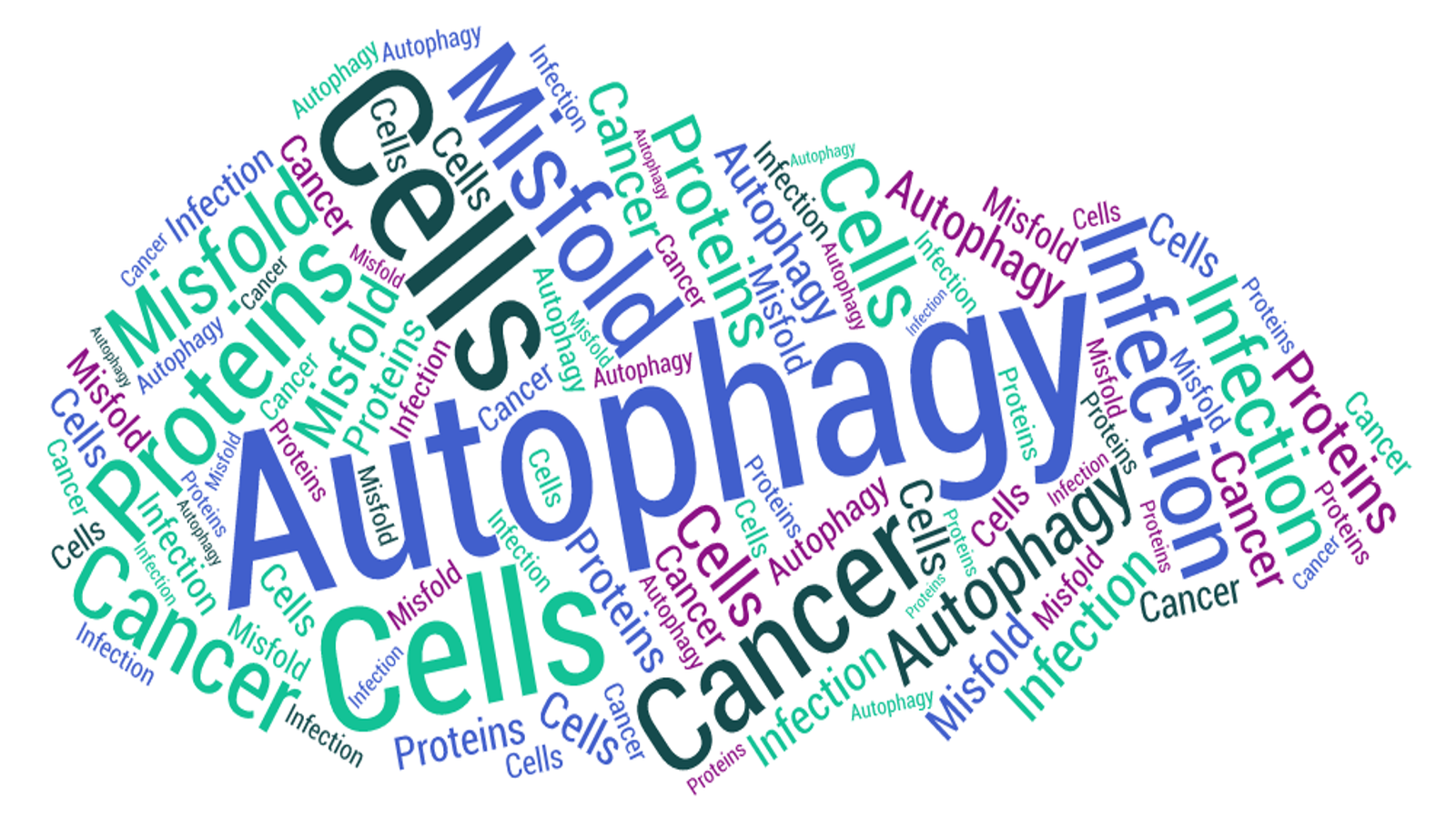 Autophagy – unravelling the mysterious self-snacking behaviour of cells